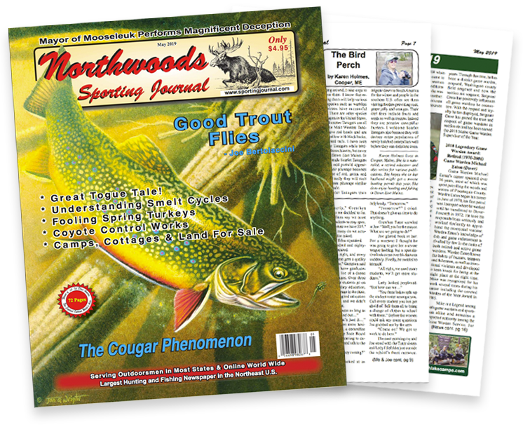 Hunting & Fishing Magazine  Northwoods Sporting Journal